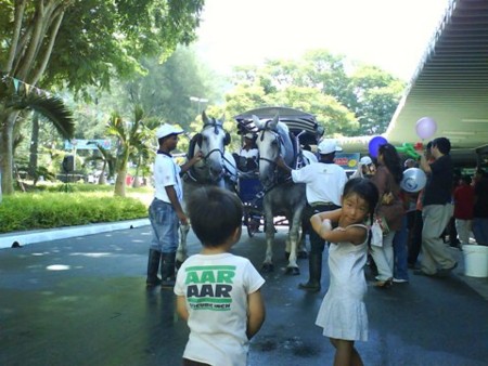 f:id:azecchi:20090607150650j:image f:id:azecchi:20090607150650j:image