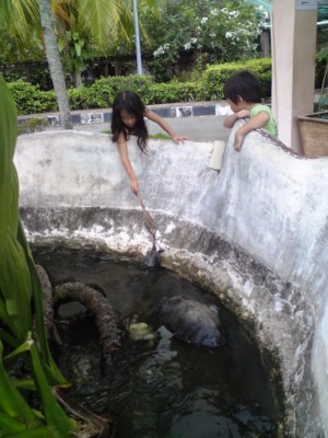 f:id:azecchi:20100711141459j:image