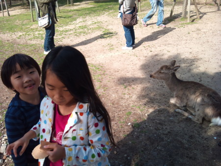 f:id:azecchi:20110410153723j:image