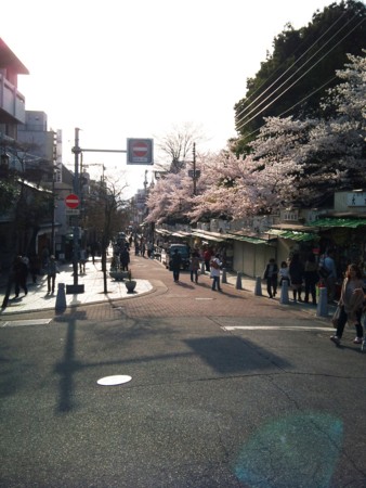 f:id:azecchi:20110410164330j:image