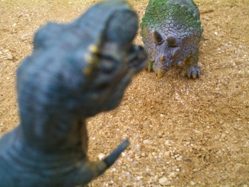 f:id:azecchi:20111002103016j:image f:id:azecchi:20111002103016j:image