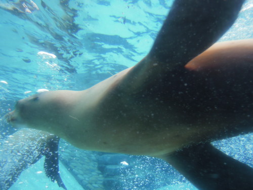 f:id:azecchi:20120115153627j:image f:id:azecchi:20120115153627j:image