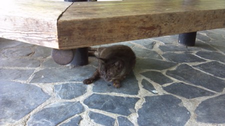 f:id:azerty1s:20120826134059j:image