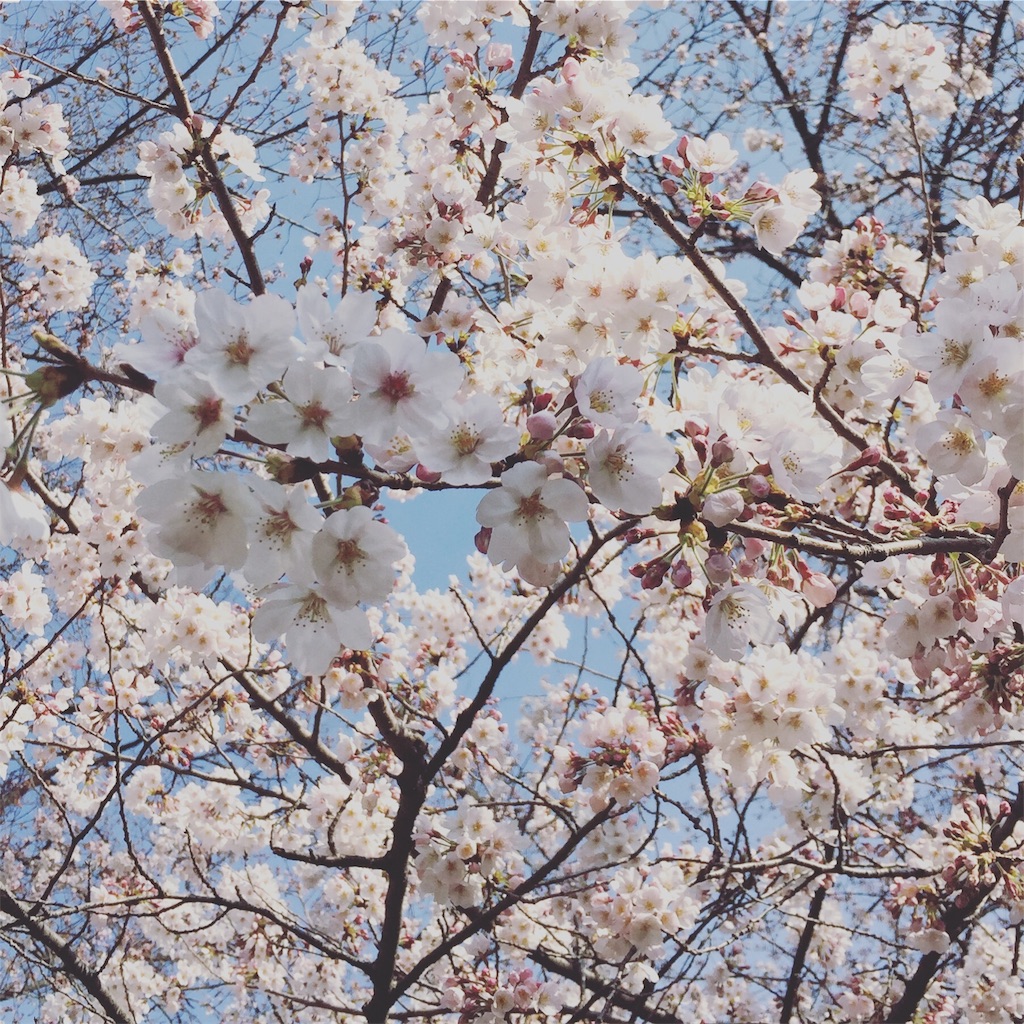 f:id:azicoyoga:20170403093233j:image f:id:azicoyoga:20170403093233j:image