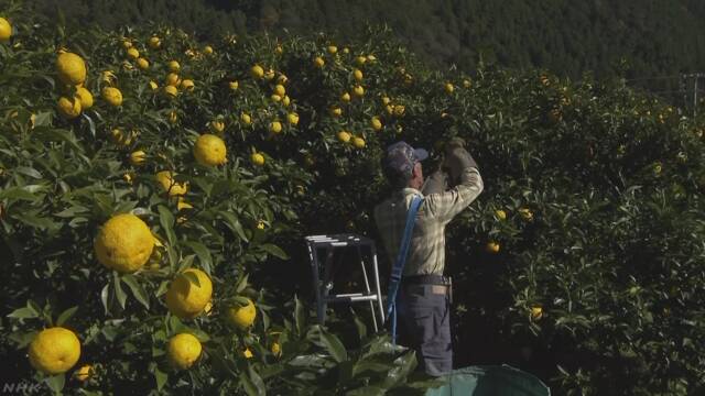 f:id:azims:20191118081041j:plain f:id:azims:20191118081041j:plain