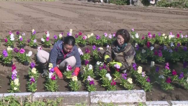 f:id:azims:20191118081537j:plain f:id:azims:20191118081537j:plain