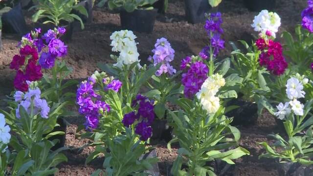 f:id:azims:20191118081603j:plain f:id:azims:20191118081603j:plain