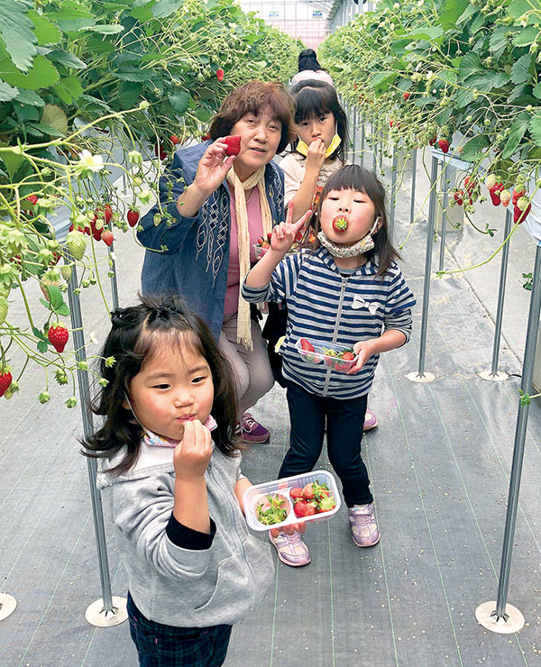 f:id:azims:20200529080741j:plain