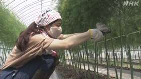 f:id:azims:20200604082946j:plain