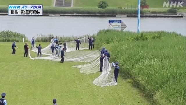 f:id:azims:20200604092924j:plain