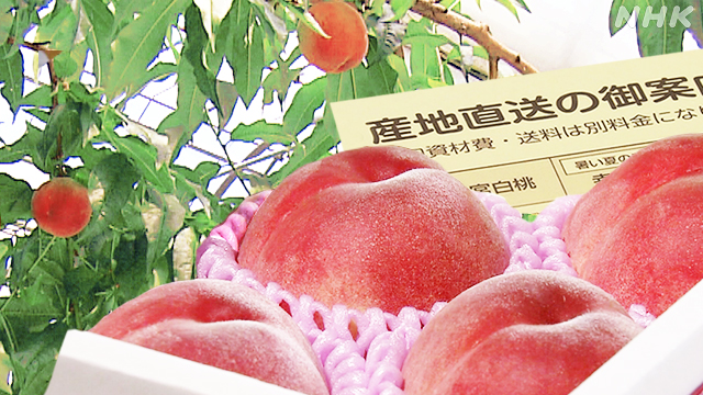 f:id:azims:20200604102705j:plain