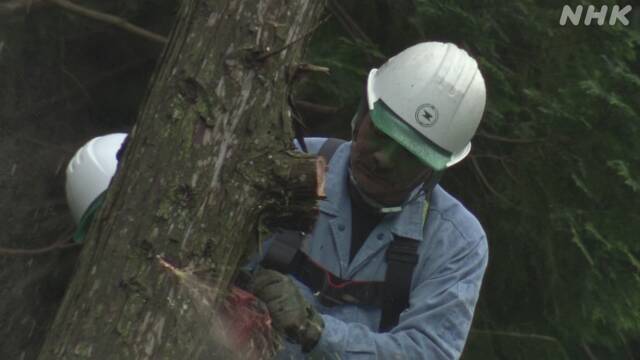 f:id:azims:20200708094313j:plain