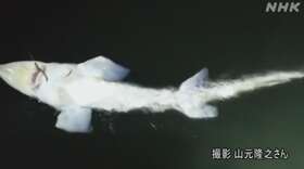 f:id:azims:20200813070021j:plain