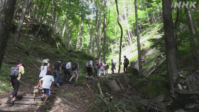 f:id:azims:20200813070311j:plain