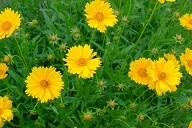 f:id:azims:20200813071127j:plain