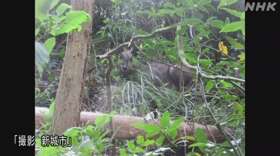 f:id:azims:20201006092411j:plain