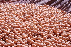 f:id:azims:20201220080144j:plain