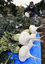 f:id:azims:20210107073014j:plain