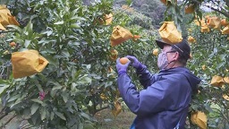 f:id:azims:20210107073553j:plain