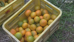 f:id:azims:20210107073631j:plain