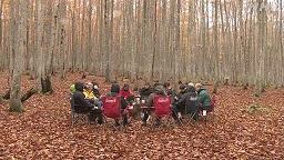 f:id:azims:20210107083015j:plain