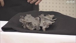 f:id:azims:20210107084746j:plain