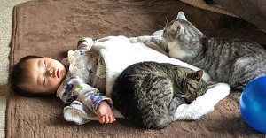 f:id:azims:20210127072053j:plain