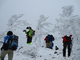 f:id:azims:20210127072713j:plain