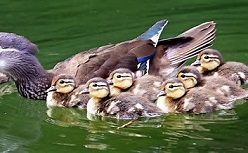 f:id:azims:20210609073619j:plain