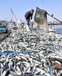 f:id:azims:20210609074144j:plain