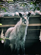 f:id:azims:20210609080935j:plain