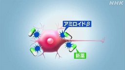 f:id:azims:20210609093322j:plain