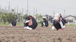 f:id:azims:20210609094617j:plain