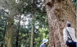 f:id:azims:20210704092825j:plain