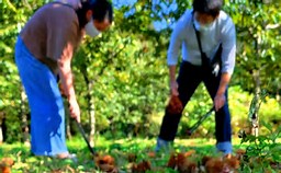 f:id:azims:20211015092008j:plain