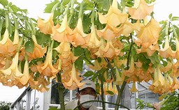 f:id:azims:20211015093048j:plain