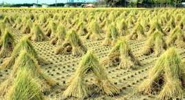 f:id:azims:20211016071251j:plain