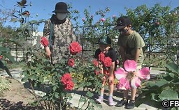 f:id:azims:20211016071622j:plain