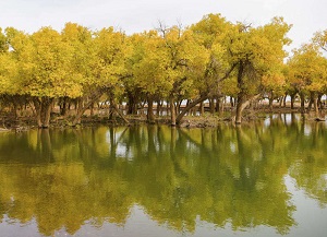 f:id:azims:20211016071826j:plain