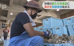 f:id:azims:20211016072031j:plain