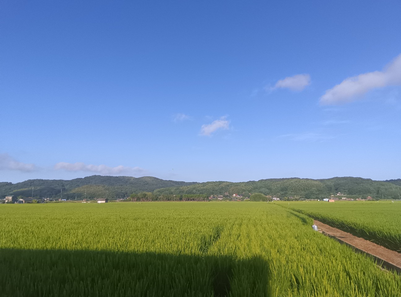 f:id:azisai0222:20260829230430j:image