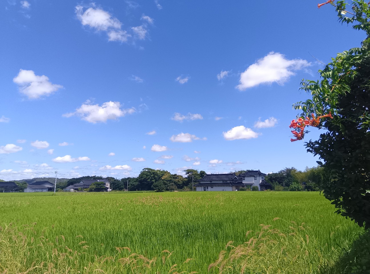 f:id:azisai0222:20260829232924j:image