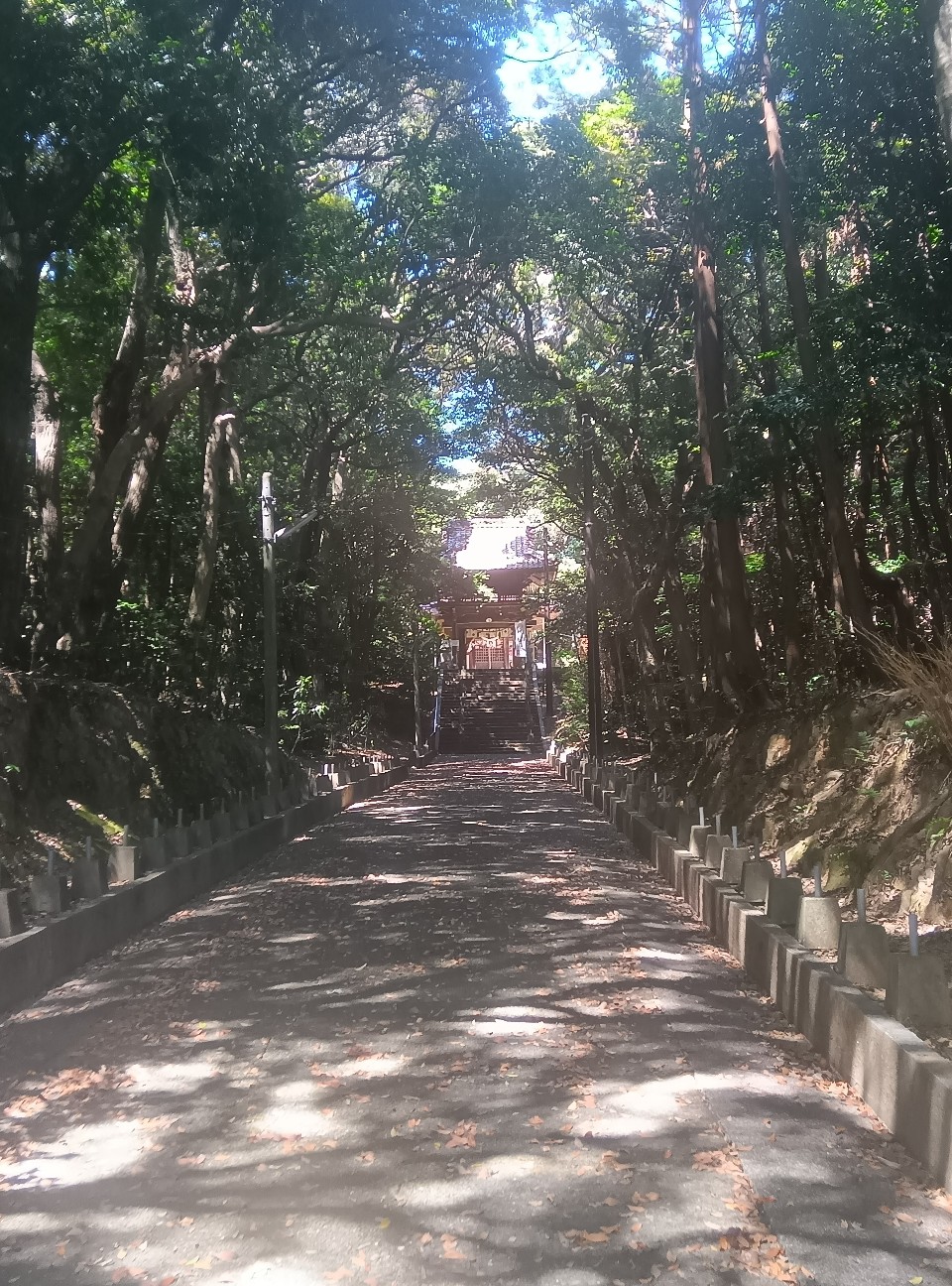 f:id:azisai0222:20260829232951j:image