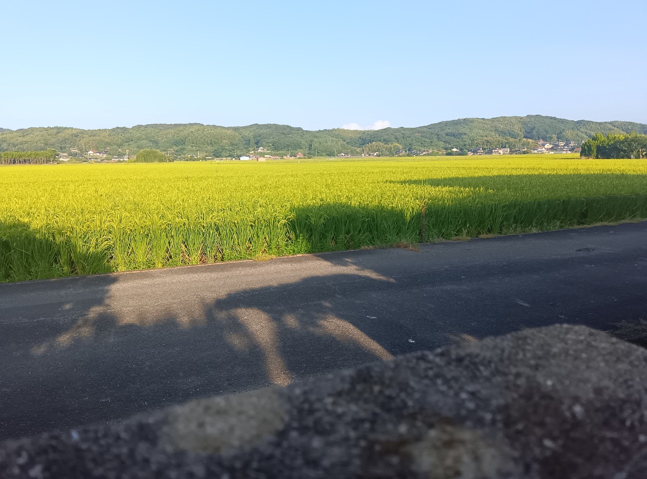 f:id:azisai0222:20260902205534j:image