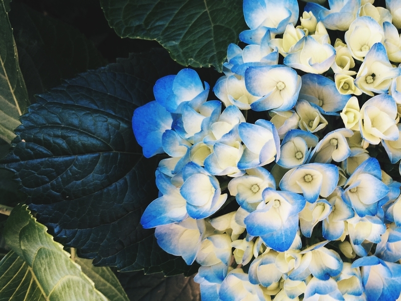 f:id:azix:20210217132516j:plain:w300