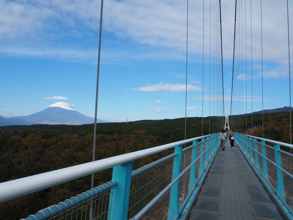 f:id:azkawagoe:20191129195054j:image f:id:azkawagoe:20191129195054j:image
