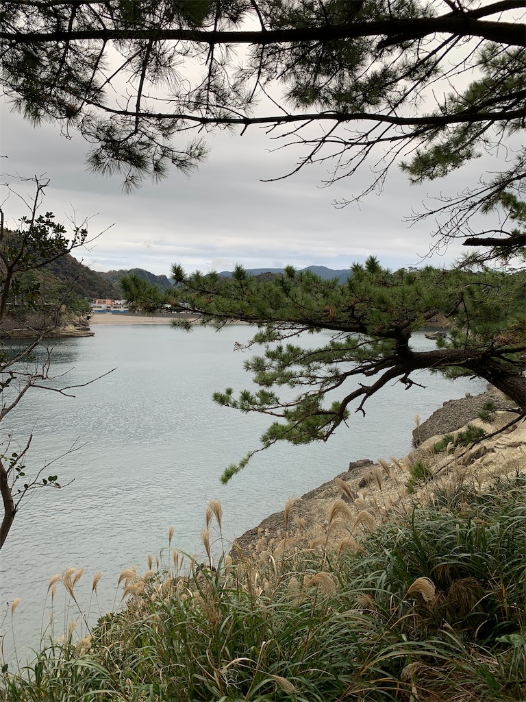 f:id:azkawagoe:20191129201902j:image f:id:azkawagoe:20191129201902j:image