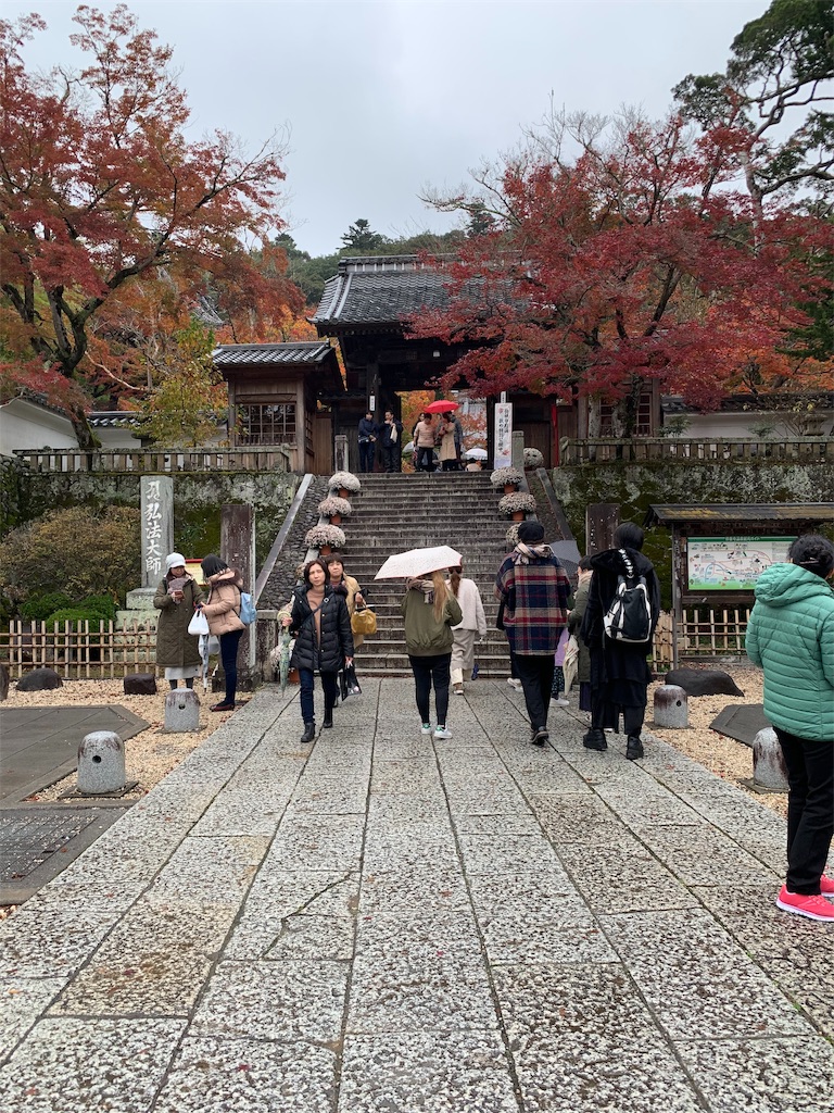 f:id:azkawagoe:20191129203311j:image f:id:azkawagoe:20191129203311j:image