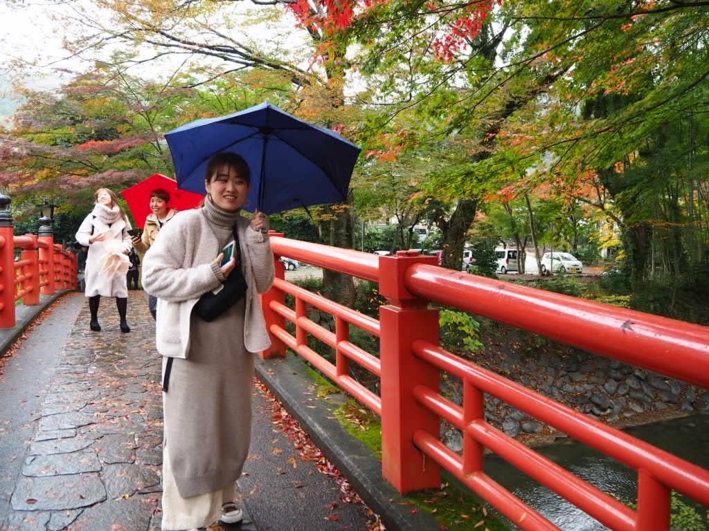 f:id:azkawagoe:20191129203316j:image f:id:azkawagoe:20191129203316j:image