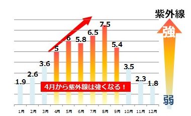 f:id:azkawagoe:20210311165458j:plain